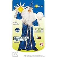 Children\'s Fantasy Wizard 128cm Costume Small 5-7 Yrs (128cm) For Fairytale