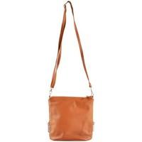 chicca borse 10019cuoio210636 womens handbags in brown