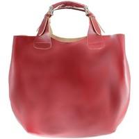 chicca borse 9007rosso210636 womens handbags in red