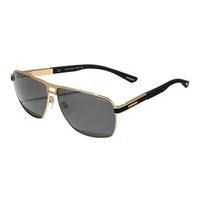 Chopard Sunglasses SCHB79 Polarized 349P