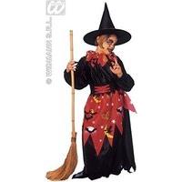 childrens witch costume medium 8 10 yrs 140cm for halloween fancy dres ...