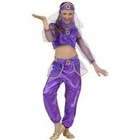 Children\'s Odalisque Purple 128cm Costume Small 5-7 Yrs (128cm) For Arab Fancy
