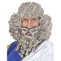 Character Curly / Beard - Grey Wig For Hair Accessory Fancy Dress