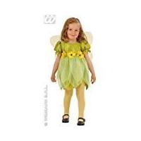 Children\'s Lil Green Fairy Child Costume For Neverland Fairytale Fancy Dress