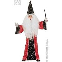 Children\'s Fantasy Wizard 140cm Costume Medium 8-10 Yrs (140cm) For Fairytale