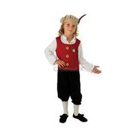 Child Tudor Costume 3 - 4 Years