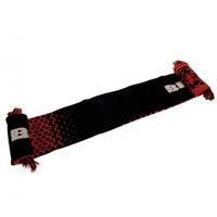 Chicago Bears Scarf FD