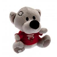 Chicago Bulls Timmy Bear
