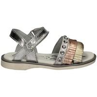 chicco 01057559 sandals kid grey boyss childrens sandals in grey