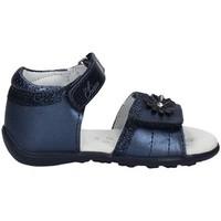 Chicco 01057484 Scarpa velcro Kid Blue boys\'s Children\'s Sandals in blue