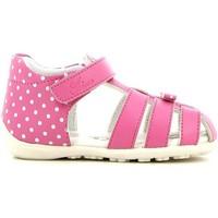 Chicco 01055544 Sandals Kid girls\'s Children\'s Sandals in pink