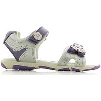 chicco 01051682 sandals kid purple boyss childrens sandals in purple