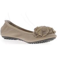 Chaussmoi Ballerines taupe aspect cuir brillant avec noeud décoratif pliab women\'s Shoes (Pumps / Ballerinas) in brown