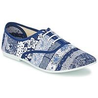 Chipie JO PRINT women\'s Casual Shoes in blue