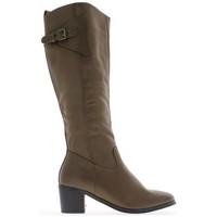 Chaussmoi Boots woman moles to 6cm heel women\'s High Boots in brown