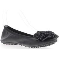 Chaussmoi Ballerines noires aspect cuir brillant avec noeud décoratif plia women\'s Shoes (Pumps / Ballerinas) in black