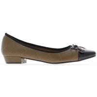 Chaussmoi Shoes big size moles 2.5 cm heel women\'s Shoes (Pumps / Ballerinas) in brown