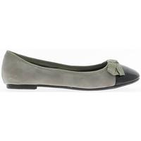 Chaussmoi Two-tone ballerina with knot women\'s Shoes (Pumps / Ballerinas) in grey