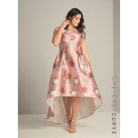 Chi Chi Curve Carla Dress