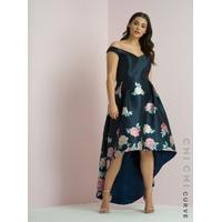 Chi Chi Curve Hazel Dress