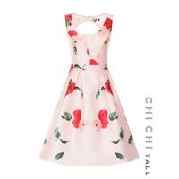 Chi Chi Tall Thalita Dress
