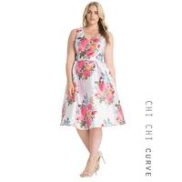 Chi Chi Curve Holly-Ann Dress