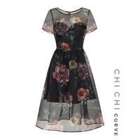 Chi Chi Curve Safirah Dress