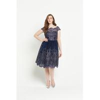 chi chi curve lace full dress