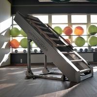 Champions Ladder Exclusive Cardio Climber