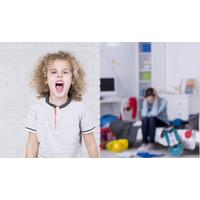 Challenging Behaviour in Children and Young People Diploma Course