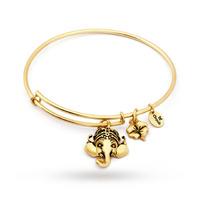 chrysalis ambition expandable bangle