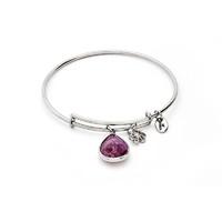 Chrysalis Amethyst February Silver Bangle