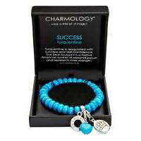 charmology gemstone bracelet