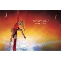 Cirque De Soleil - La Nouba