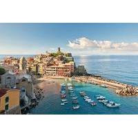 Cinque Terre Tour by Minivan from Pisa