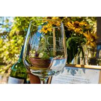 City and Wine: Half Day Sonoma Wine Tour plus Downtown Tour Hop on Hop off