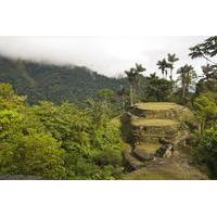 Ciudad Perdida: 4- or 5-Day Trek from Santa Marta