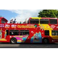 City Sightseeing Derry Hop-On Hop-Off Tour