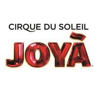 cirque du soleil joy from playa del carmen