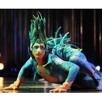 Cirque du Soleil - Amaluna