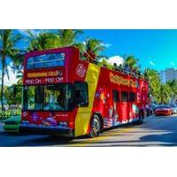 City Sightseeing - Miami - Hop On Hop Off + Miami Seaquarium