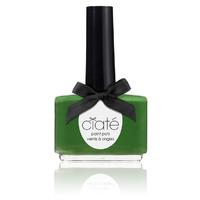 Ciate Stiletto Paint Pot 13.5ml Pp055