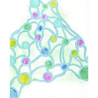 Circles By Leda Catunda