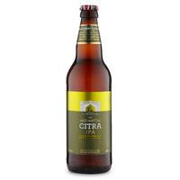 Citra IPA - Case of 20