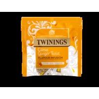 citrus ginger twist flavour infusion loose leaf pyramid single envelop ...