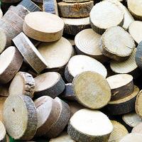 Circular Branch Offcuts (Pack of 50)