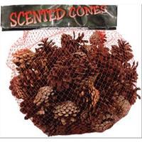 cinnamon scented pine cones small mix 234847