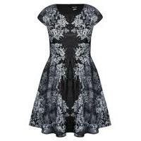 City Chic Baroque Skater Dress, Black