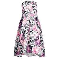 City Chic Floral Print Hi Lo Dress, Bright Multi