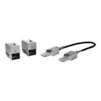 Cisco Network Stacking Module Pack of 2